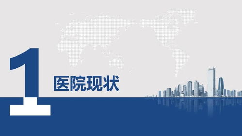 醫院全光網絡規劃設計方案及項目策劃與公關服務